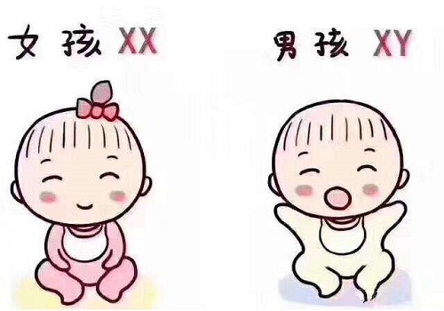 大龄女性的生育难点，美国试管婴儿如何解决？