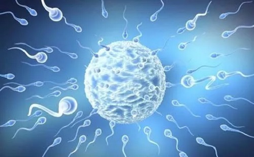 多囊卵巢致不孕，美国试管婴儿为您扫清障碍