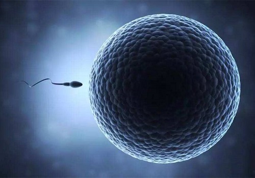 卵巢位置异常对美国试管取卵有何影响？应对方法是什么？