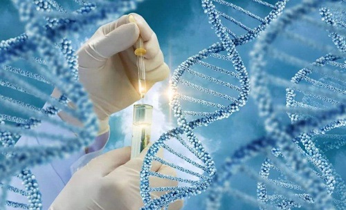 试管婴儿助孕技术价格是不是越高越好？