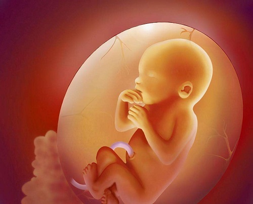 美国试管婴儿专家：染色体问题生娃关键在于基因检测
