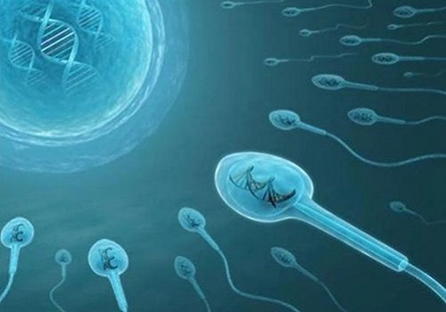 2022单身做试管婴儿的条件是什么？