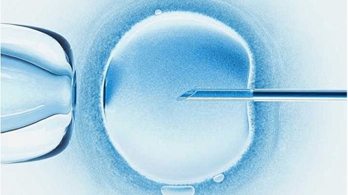 试管和人工受孕有什么区别？这两种该怎么选？