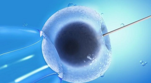 美国试管婴儿资讯：男性提高精子质量的重要性
