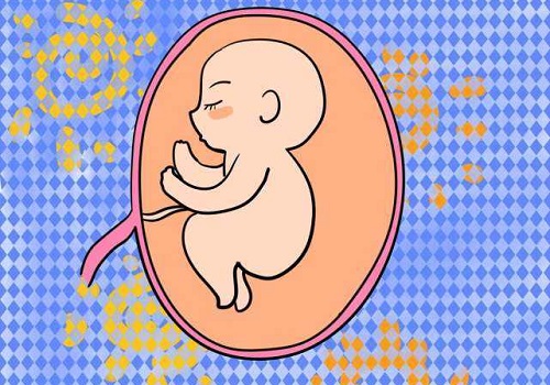 试管婴儿养囊一个多少钱