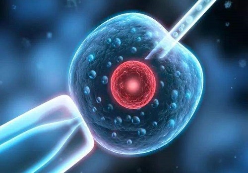 2022三代试管婴儿技术可以避免宫外孕吗？