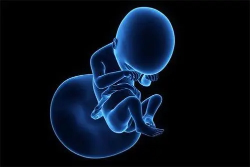 美国试管婴儿周期中进行卵泡监测，有何作用？