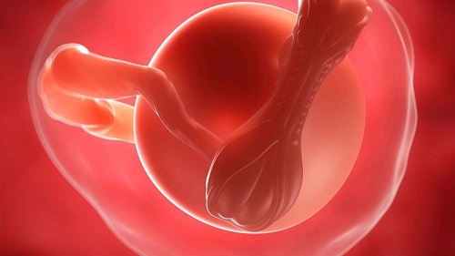 子宫内膜息肉可以到美国试管婴儿医院做试管婴儿吗