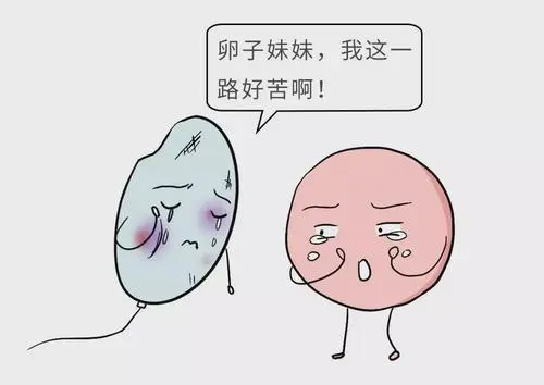 西安能做试管婴儿的医院有哪些