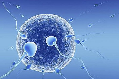 高龄女性泰国试管婴儿要求、注意事项是什么？