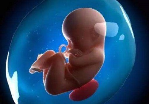 肇庆试管婴儿多少钱？肇庆试管期间怎么吃营养还不胖？