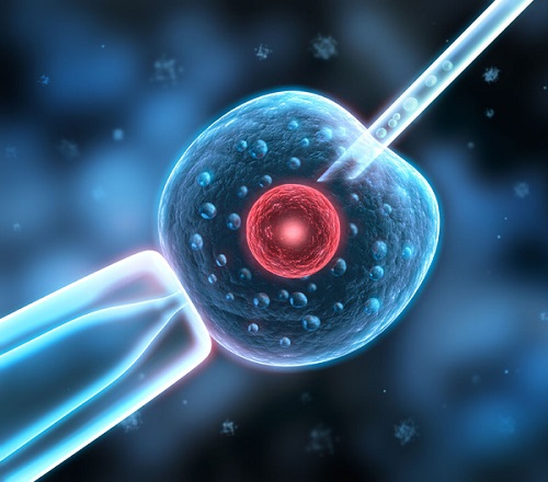精子碎片率高能做三代试管吗？如何改善精子质量？