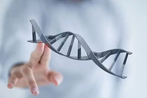 避免泰国试管婴儿多次移植失败有哪些实用攻略？