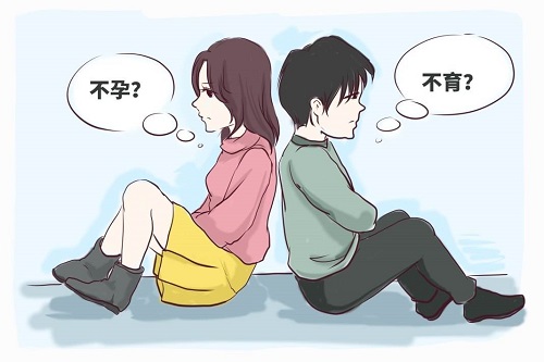 试管婴儿具体的治疗步骤是什么