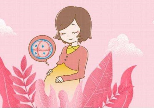 试管婴儿三代基本不会胎停？什么原因？