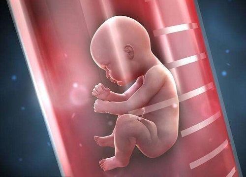 国内试管为何多为取卵多胚胎少？美国试管婴儿如何提高？