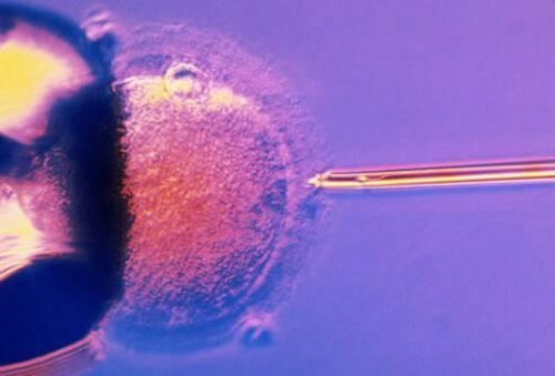 试管婴儿冷冻胚胎移植是为了省钱吗