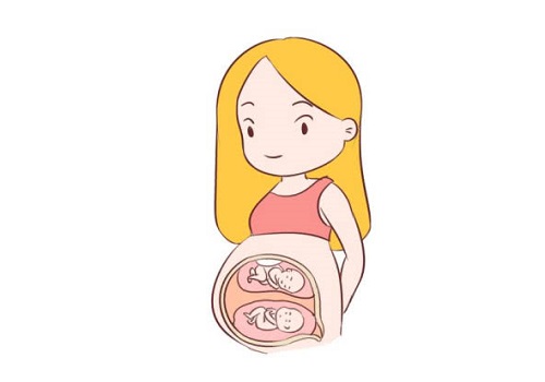 第二代试管婴儿的费用大概是多少？成功率如何？