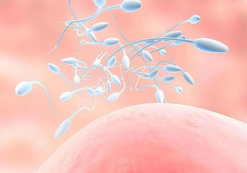 试管婴儿=1个精子+1个卵子，真的就这么简单？？