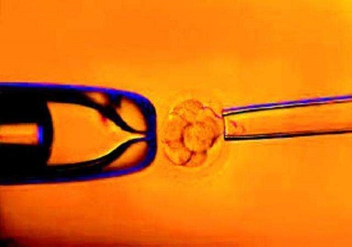 美国试管婴儿移植两个冻胚生，成功概率有多大？